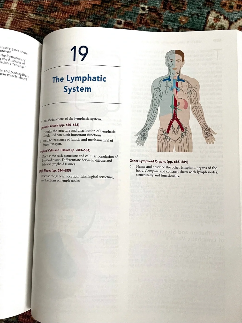 Pearson hardcover anatomy